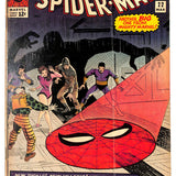 Amazing Spider-Man #  22 3.5