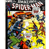 Amazing Spider-Man # 114 5.5
