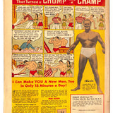Startling Comics #  39 5.0