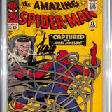 Amazing Spider-Man #  25