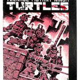 Teenage Mutant Ninja Turtles #   1 5.0 3rd Print