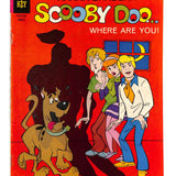 Scooby Doo #   1