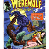 Werewolf by Night #  18 8.0