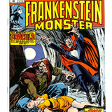 Frankenstein Monster #   9 9.0