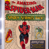 Amazing Spider-Man #  19