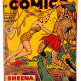 Jumbo Comics #   1 3.0