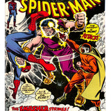 Amazing Spider-Man # 118 7.0