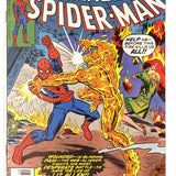 Amazing Spider-Man # 173 7.0