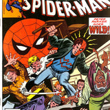 Amazing Spider-Man # 206 9.2