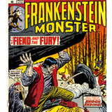 Frankenstein #   7 9.0