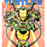 Teenage Mutant Ninja Turtles #  24 9.0