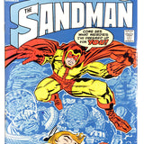 Sandman #   1 7.0