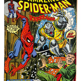 Amazing Spider-Man # 124 5.0