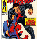 Amazing Spider-Man #  73 7.0