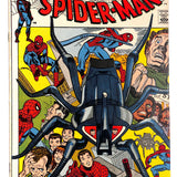Amazing Spider-Man # 105 7.0