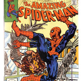 Amazing Spider-Man # 209 8.0